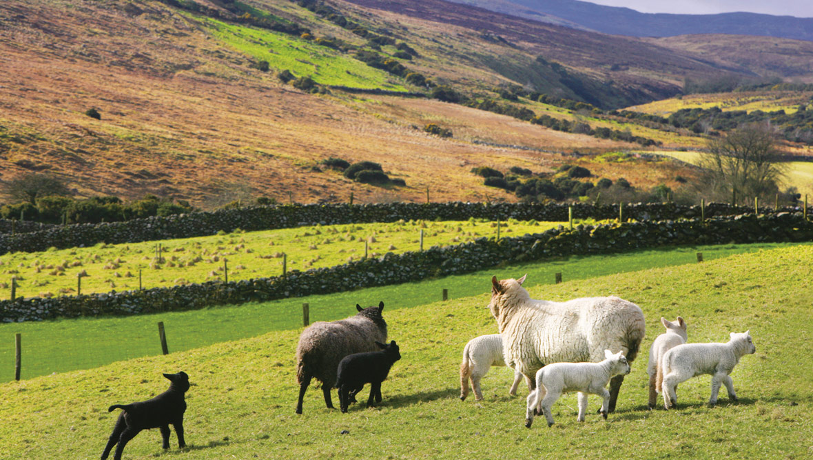 An Ireland spring in 6 images
